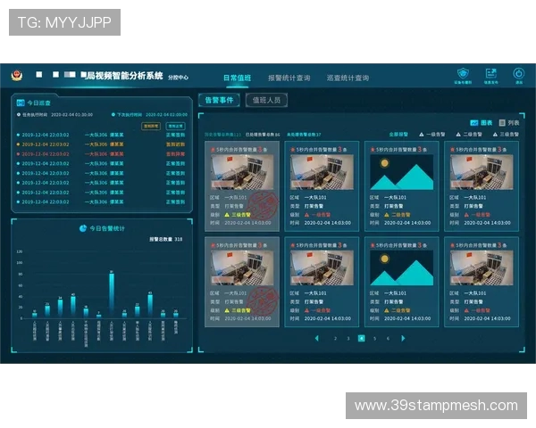 RNG战队反击策略深度分析与实战应用探讨